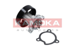 Veepump, mootori jahutus KAMOKA T0221