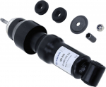 Amort SACHS 105 819