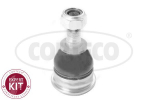 Kande-/juhtliigend CORTECO 49399992