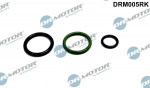 Remondikomplekt,pump-d&uuml;&uuml;s-komponent DR. MOTOR DRM005RK