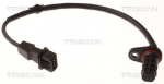Andur, v&auml;ntv&otilde;ll TRISCAN 8855 43110
