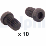 Kruvi,piduriketas DELPHI BGK011