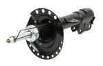 Amort MAXGEAR 11-1641