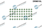 R&otilde;ngastihend,sissepritseklapp Dr.Motor Automotive DRM010L