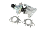EGR-klapp NRF 48650