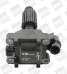 S&uuml;&uuml;tepool BorgWarner (BERU) ZS308