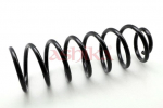 vedru ASHIKA ZCA6110A