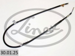 Tross,seisupidur LINEX 30.01.25