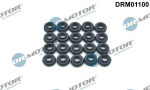 Tihend,klapikaanekruvid Dr.Motor Automotive DRM01100