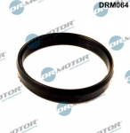 Tihend, drosselventiil Dr.Motor Automotive DRM064