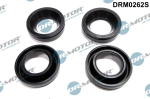 Tihend,d&uuml;&uuml;sikinnitus Dr.Motor Automotive DRM0262S