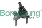 Kande-/juhtliigend Borsehung B11342