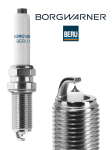 S&uuml;&uuml;tek&uuml;&uuml;nal BorgWarner (BERU) Z528