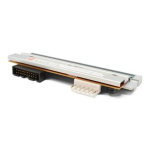 Honeywell prindipea, 24 dots/mm (600dpi) (50151888-001)
