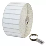 Etiketid, Zebra, termopaber, 8000D Jewelry with flaps, W: 56 mm, H: 13 mm, D: 127 mm, C: 25.4 mm (10010065)