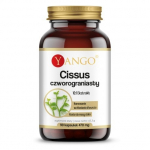 Yango &ndash; Cissus quadrangularis 90 kapslit