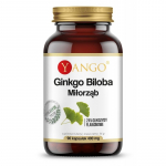 Yango &ndash; Ginkgo biloba 90 kapslit