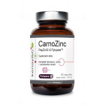 CarnoZinc PepZinGI & Pylopass &ndash; 60 kapslit