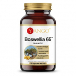YANGO - Boswellia 65 - 90 kapslit