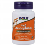 Acidophilus &ndash; 4X6 &ndash; 60 kapslit