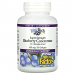 Natural Factors &ndash; Super Strength Blueberry Concentrate 500mg 90 softgels