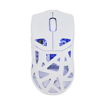 White Shark GM-5019 Dagonet Wireless 24000 dpi Valge
