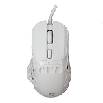 White Shark GM-5016 Ector Valge