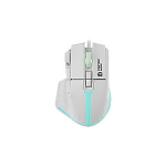 CANYON hiir Fortnax GM-636 RGB 9 nuppu Juhtmega Valge