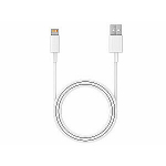 Tracer 47086 USB 2.0 iPhone AM Lightning 1m valge