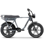 Elektrijalgratas APE RYDER 20 A10 hall