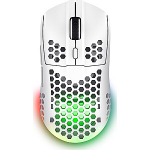 GXT929