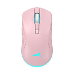 Baracuda BGM-124 Turtle Pink