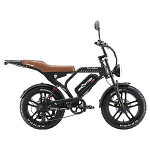 Elektriskais velosipēds APE RYDER Mandrill Ultra Black
