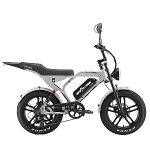 Elektriskais velosipēds APE RYDER Mandrill Ultra Grey