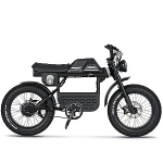 Elektriline jalgratas APE RYDER 20 Gibbon must