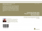 Exploring Single Spin Physics in Self-Assembled Quantum Dots: Resonance fluorescence reveals the interaction of a single spin with a single photon and with a spin bath