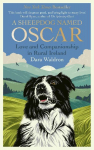 A Sheepdog Named Oscar: Love and Companionship in Rural Ireland