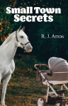 Small Town Secrets