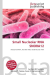 Small Nucleolar RNA SNORA12: Ribosomal RNA, Transfer RNA, Small Nuclear RNA