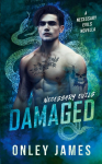 Damaged: A Necessary Evils Novella