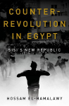 Counterrevolution in Egypt: Sisis New Republic