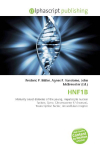 HNF1B: Maturity onset diabetes of the young, Hepatocyte nuclear factors, Gene,    Chromosome 17 (human), Transcription factor, Intracellular receptor