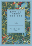 How to Mend the Sky