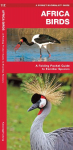 Africa Birds: A Folding Pocket Guide to Familiar Species