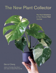 New Plant Collector: The Next Adventure in Your House Plant Journey