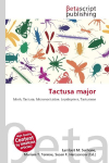 Tactusa major: Moth, Tactusa, Micronoctuidae, Lepidoptera, Tactusinae