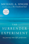 The Surrender Experiment: My Journey into Lifes Perfection