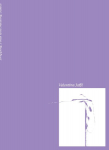 Valentina Jaff&eacute; - Dripping Folds and Melting States
