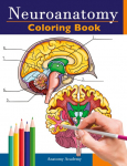 Neuroanatomy Coloring Book: Incredibly Detailed Self-Test Human Brain Coloring Book for Neuroscience | Perfect Gift for Medical School Students, Nurses, Doctors and Adults