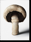 The Gourmands Mushroom. A Collection of Stories and Recipes